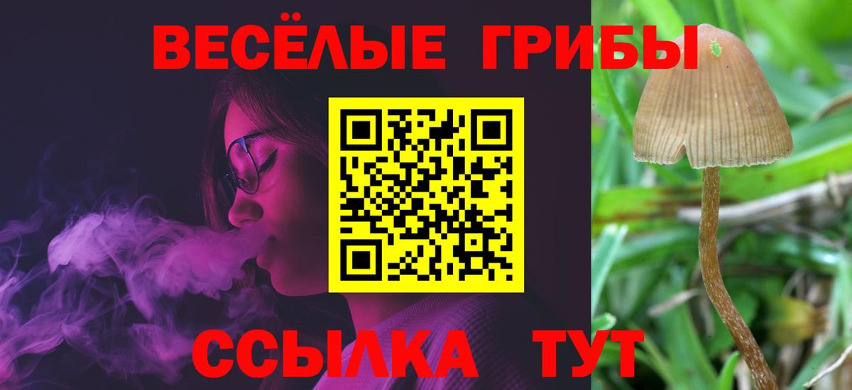 Псилоцибиновые грибы GOLDEN TEACHER  Галлюциногенные грибы мухоморы  Нижневартовск  Вход с VPN 